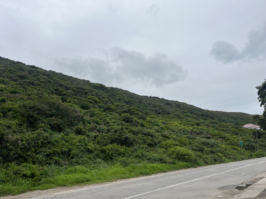 0 Bedroom Property for Sale in Amsterdamhoek Eastern Cape